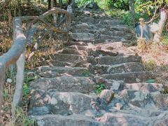 -梧桐山风景名胜区