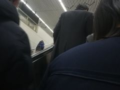 -成寿寺(地铁站)