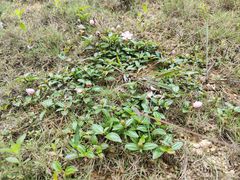 -中国移动南方基地