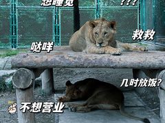 -上海野生动物园