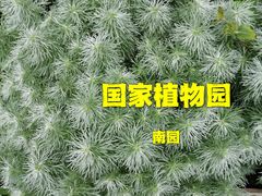 -国家植物园南园
