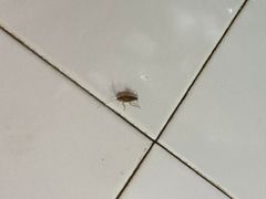 -三哥田螺(北书院街店)
