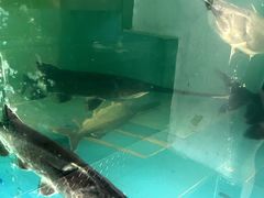 -漓江又一軒·广西菜·桂林米粉(梅林店)