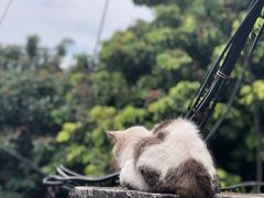 -好成财牛排馆(涂门街总店)