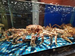 -广东道至正餐厅(区庄店)