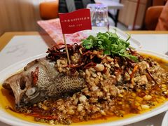 -杨氏青龙虾·羊蝎子(托乐嘉店)