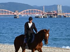 -玫瑰海岸文化旅游度假区