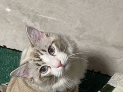 -爱诺耐芙动物医院(万博店)