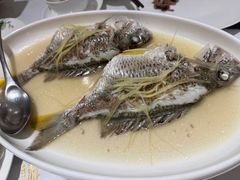 -花城苑广府菜(侨鑫店)