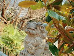 -青岛崂山太清宫