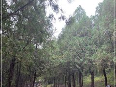 -青州市云门山风景区