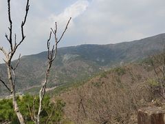 -北京十三陵国家森林公园蟒山景区