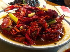 -杨氏青龙虾·羊蝎子(珠江路店)