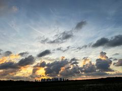 -红树林天天赶海