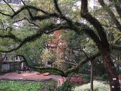 -香港大学