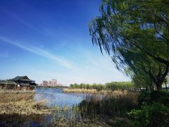 -济南大明湖景区