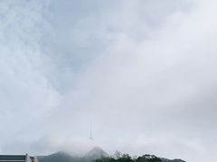 -梧桐山风景名胜区