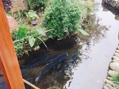 -万景饭店·鱼街农家菜