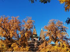 -北京石刻艺术博物馆(五塔寺)