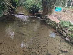 -重庆彩云湖湿地公园