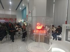 -天鹅到家·保姆月嫂育儿嫂(总店)
