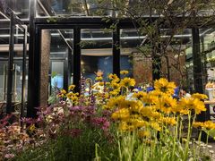 -Golden Lily河内巴黎法越料理餐厅(建国西路店)