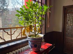 -钱塘花园·宁波菜