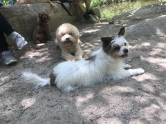 -碓臼峪自然风景区