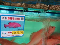 -琼大师东方烤乳猪(亚特兰蒂斯店)
