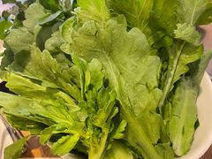 茼蒿-协成海鲜火锅(情侣路店)