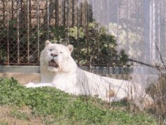 -上方山森林动物世界