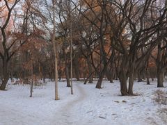 -长春市南湖公园