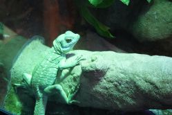 -酷嗒动物文化乐园(cutezoo西溪乐天城店)