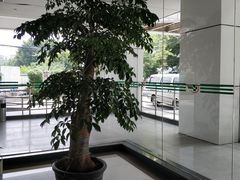 -广东省中医院(芳村医院)