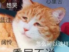 -汉堡王(嘉定宝龙城市广场)
