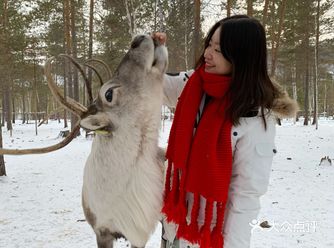 冬季漠河旅游玩雪旅拍必备攻略