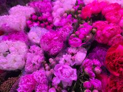 -花鸟鱼虫鲜花绿植市场(玉泉路店)
