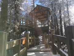 -西岭雪山大飞水景区