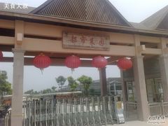 -上海都市菜园