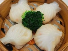 -星湖愉景酒家