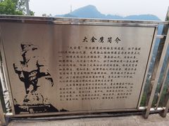 -大金鹰园