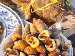 -东夷海鲜巨无霸(东夷小镇店)