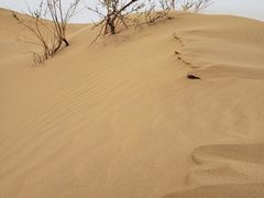 -亿利库布其七星湖沙漠生态旅游区