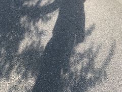 -法云安缦酒店