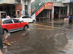 -七宝蔬菜农副产品综合交易市场-停车场