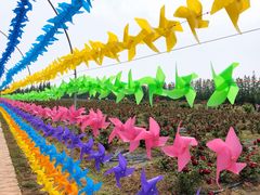 -上海长兴岛郊野公园