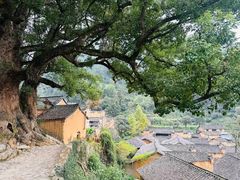 -杨家堂村