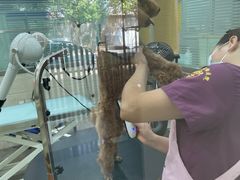 -暖阳宠物医院·犬猫康复中心·骨科
