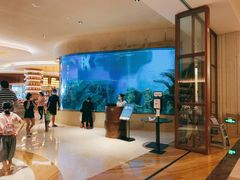 -艺厨风尚餐厅 · 桔钓沙莱华度假酒店