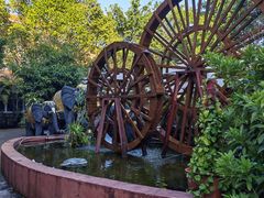 -品德宏·孔雀宴的发源地(金塔园店)